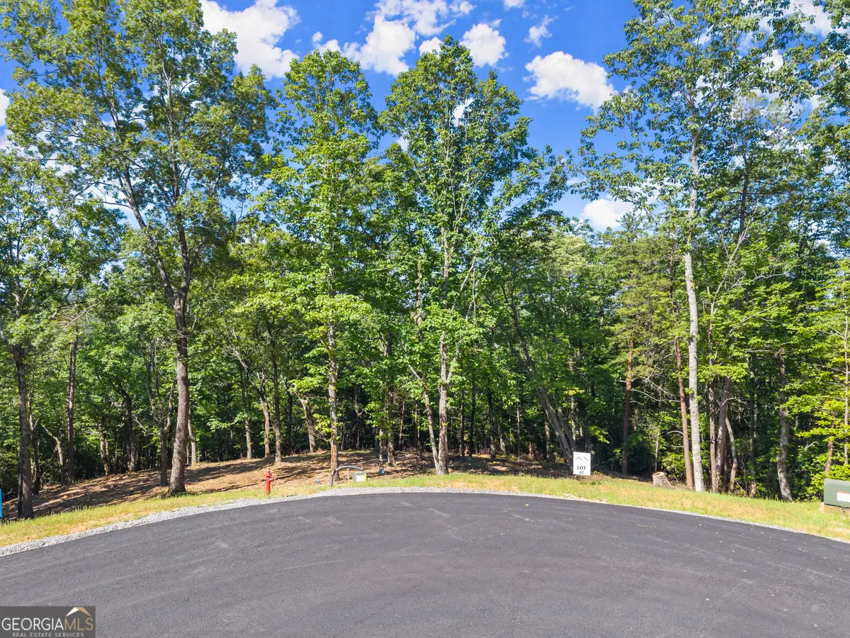 228 Chimney Oaks Trail, Cleveland, GA 30528 - #1