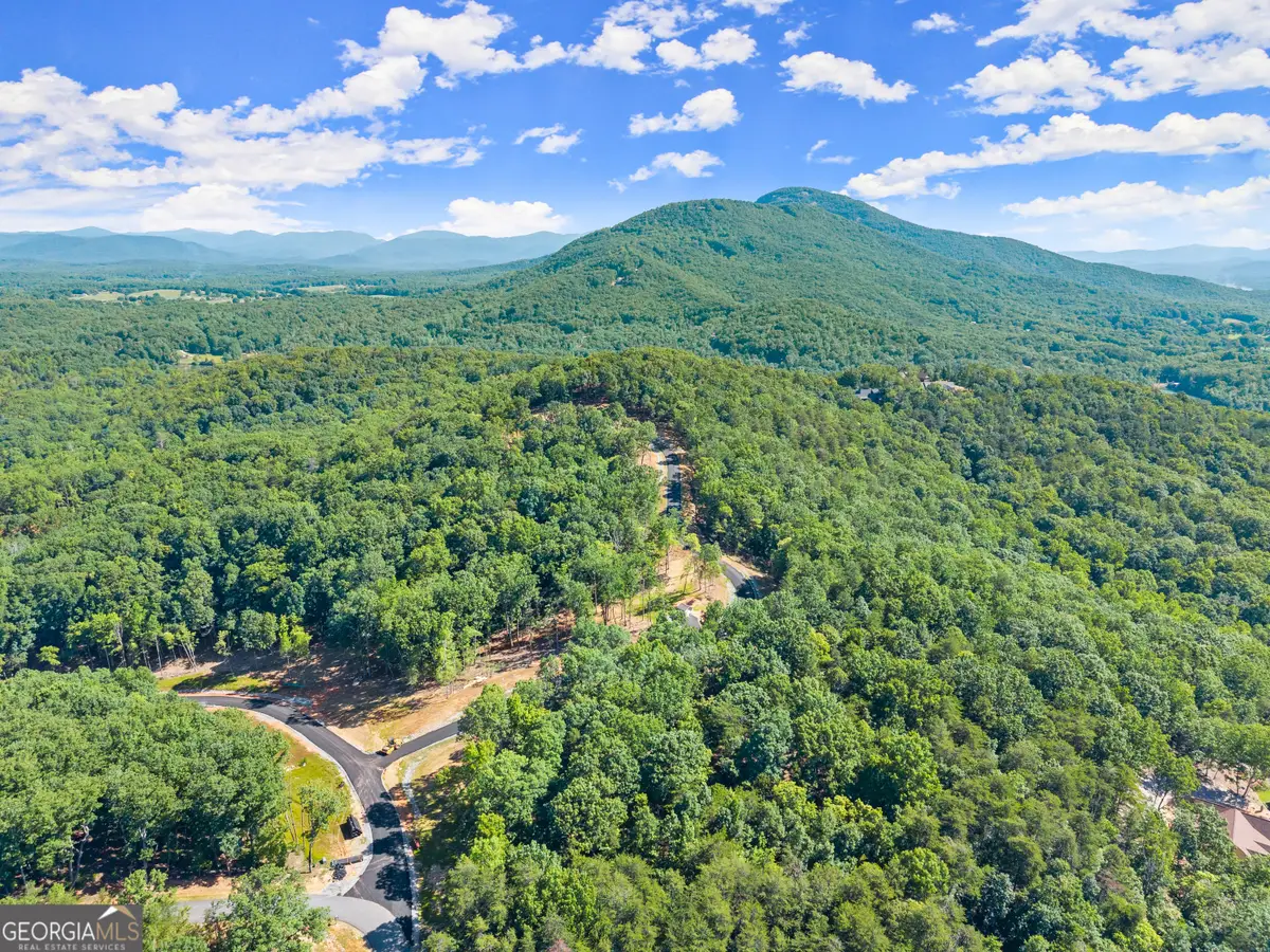 227 Chimney Oaks Trail, Cleveland, GA 30528 - #1