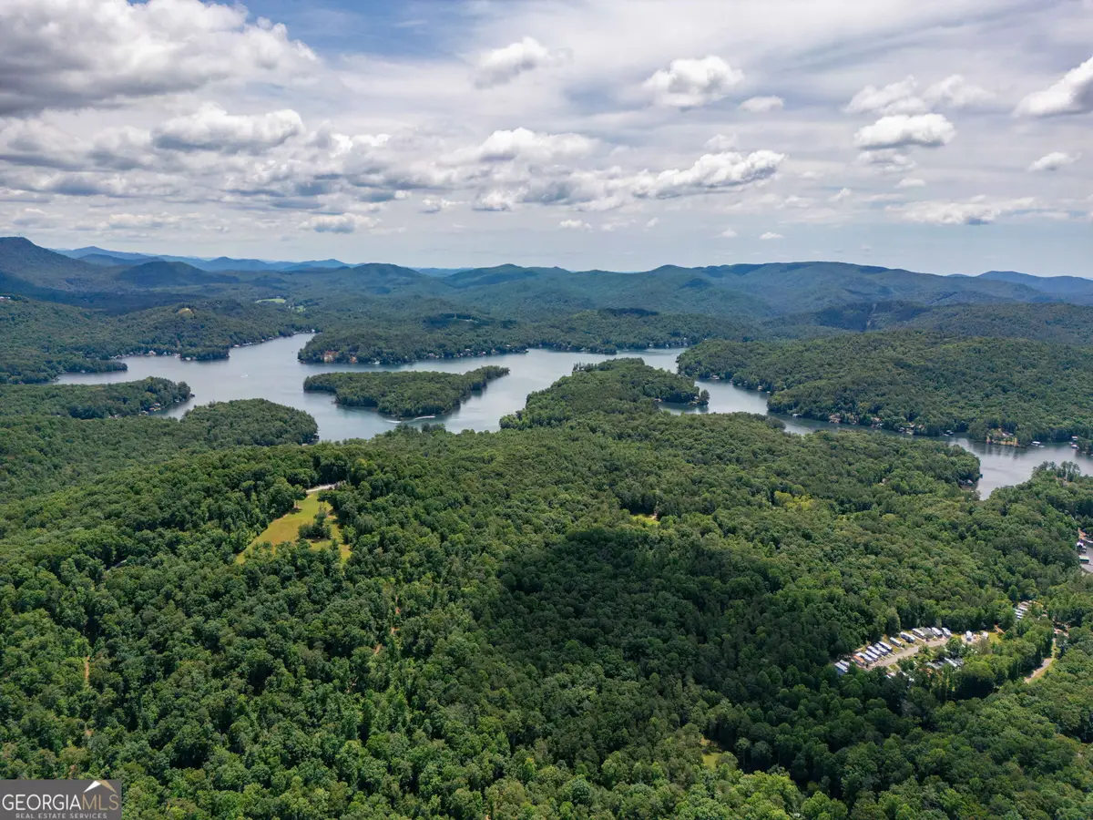 0 Hwy 197, Clarkesville, GA 30523 - #1