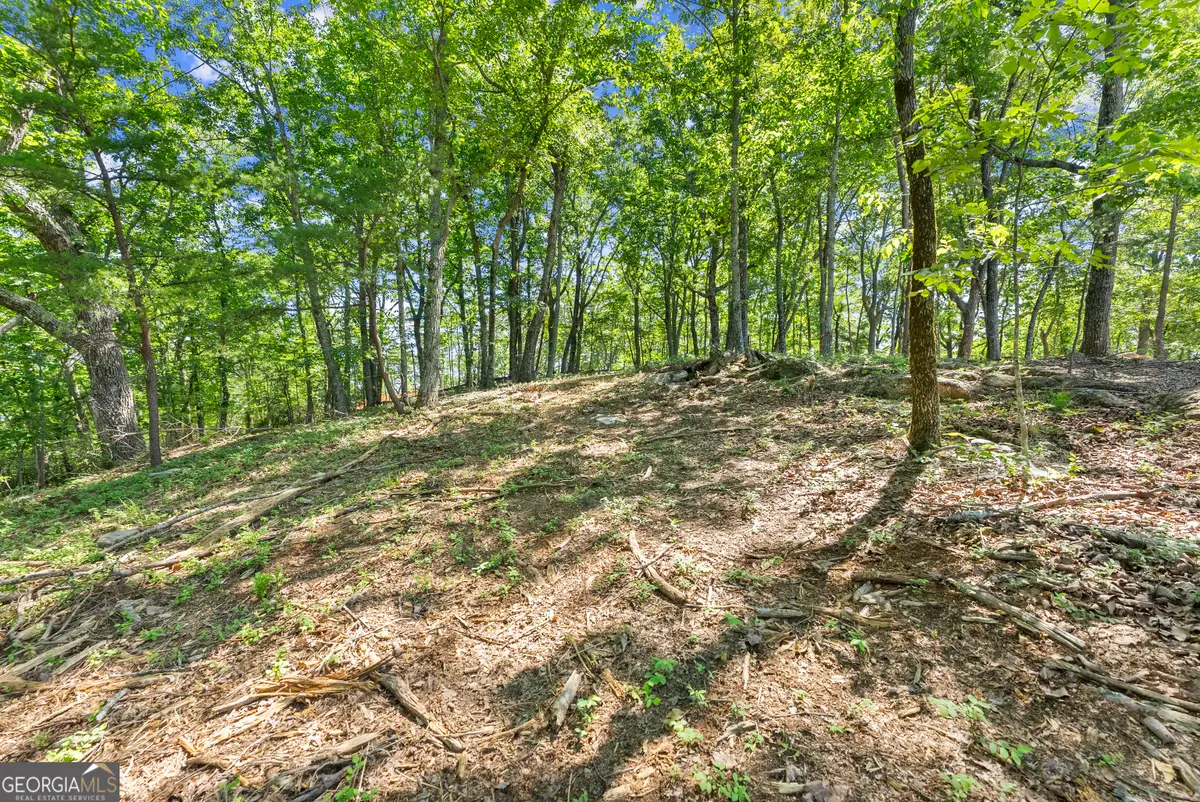 95 Chimney Oaks Trail, Cleveland, GA 30528 - #1