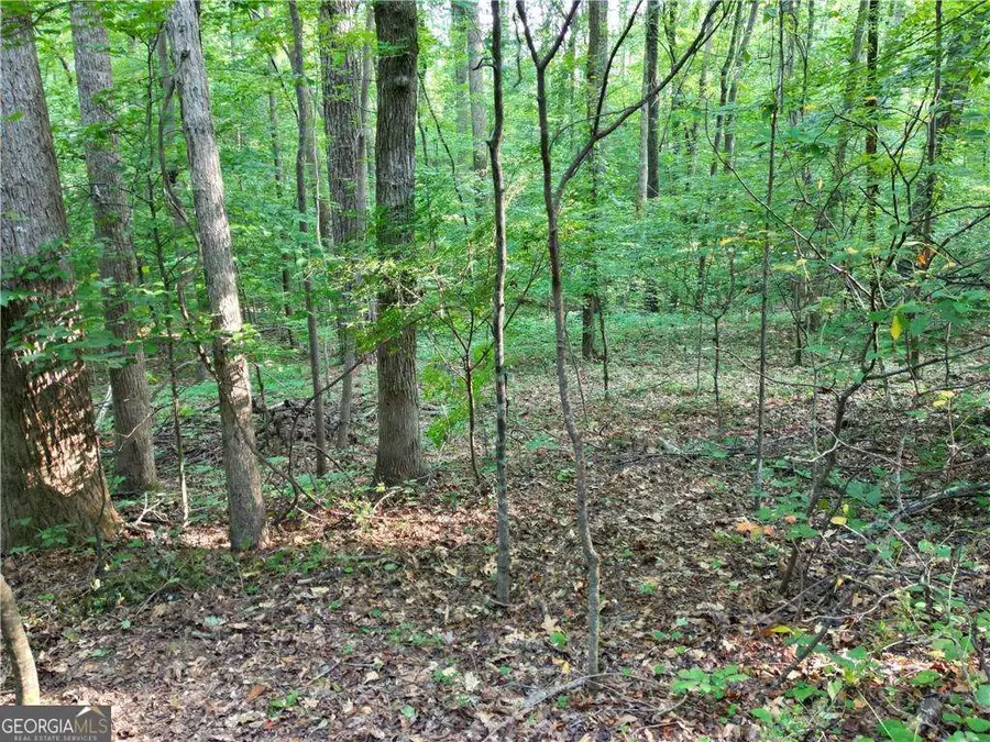 0 Glenell Drive, Woodstock, GA 30189 - #3