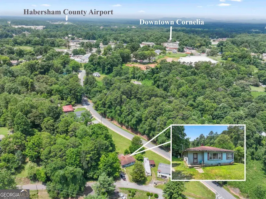 285 Carter Street, Cornelia, GA 30531 - #2
