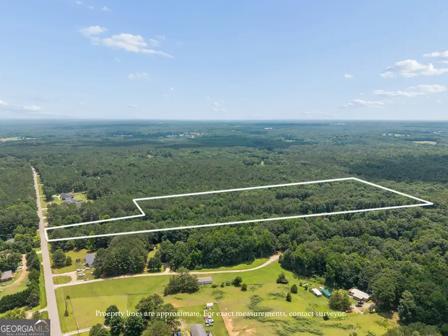 28.61 ACRES Sandy Creek Road, Madison, GA 30650 - #2