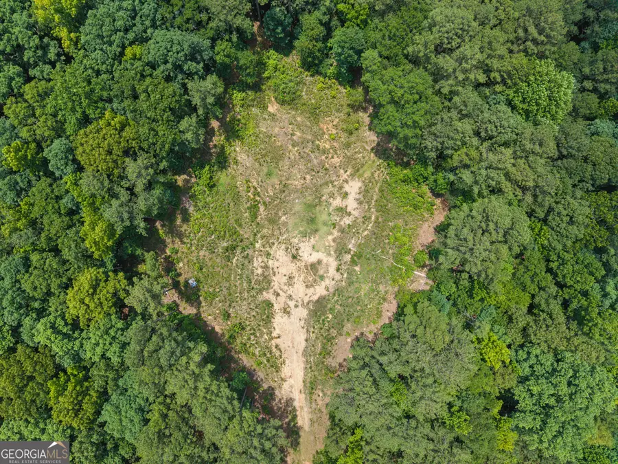 28.61 ACRES Sandy Creek Road, Madison, GA 30650 - #3