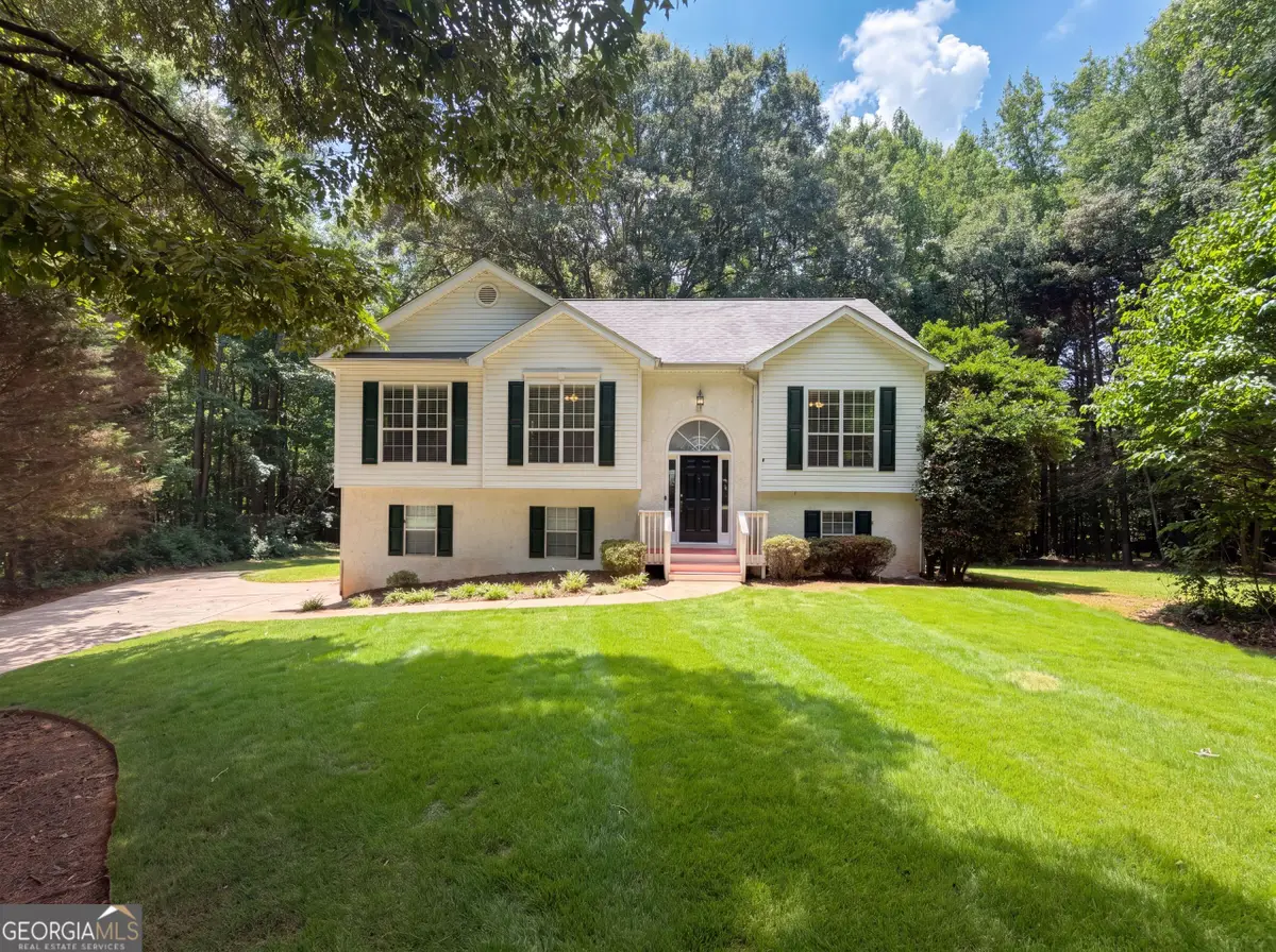 245 Mary Lynn Lane, Newnan, GA 30265 - #1