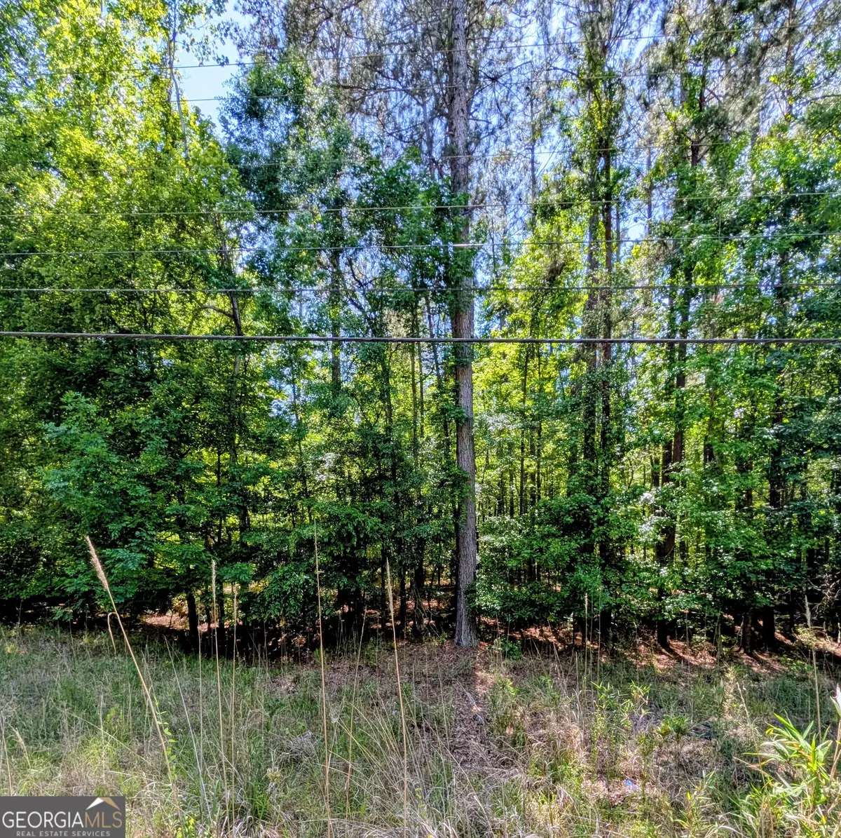 LOT 73 AND 238 Island Creek Drive, Sparta, GA 31087 - #1