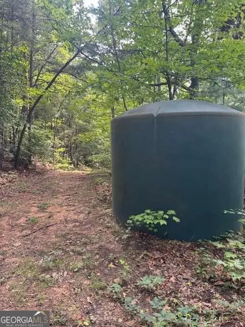 10.96 AC Paramount Trail, Ellijay, GA 30536 - #2