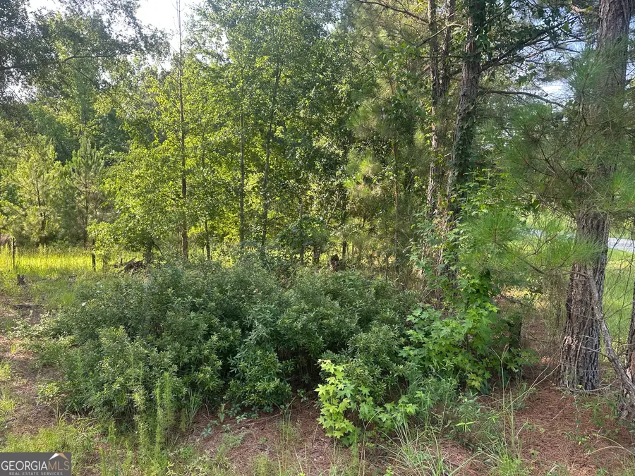 900 Habersham Church Road, Sardis, GA 30456 - #3