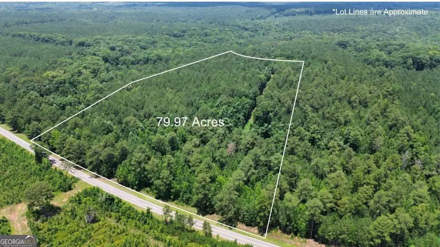 000 Springfield / Turner Road, Union Point, GA 30669 - #2
