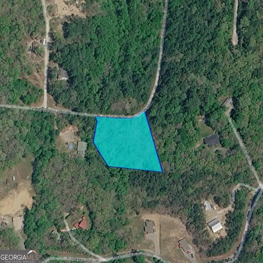 00 Pine Woods Drive, Blairsville, GA 30512 - #2