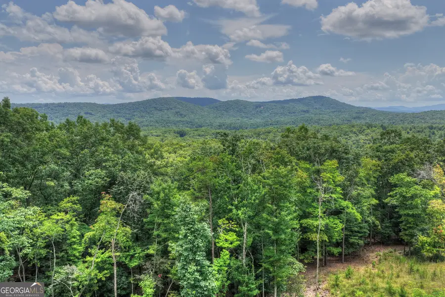 25 Boundless Trail, Morganton, GA 30560 - #3