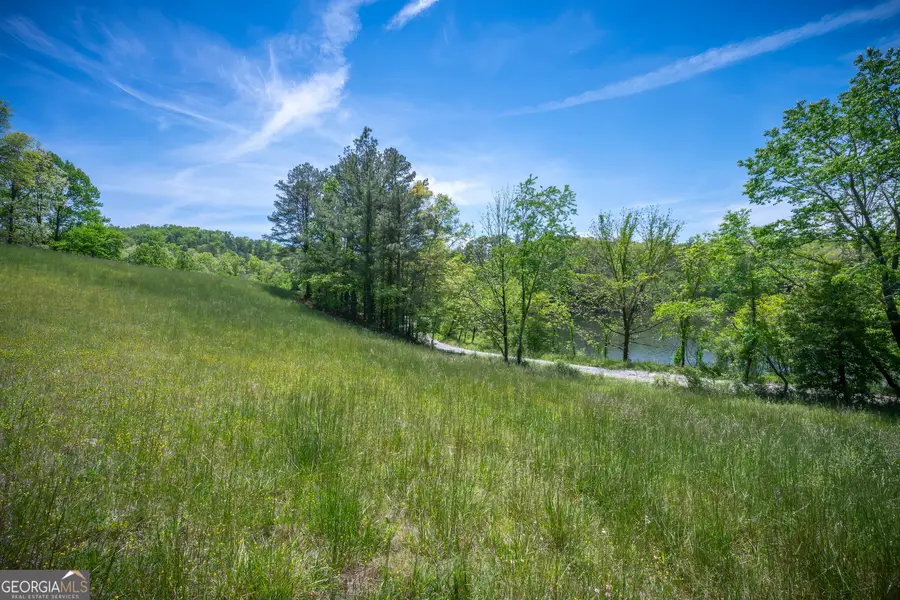 LOT 2-2A Waterstone Way, Mineral Bluff, GA 30559 - #3