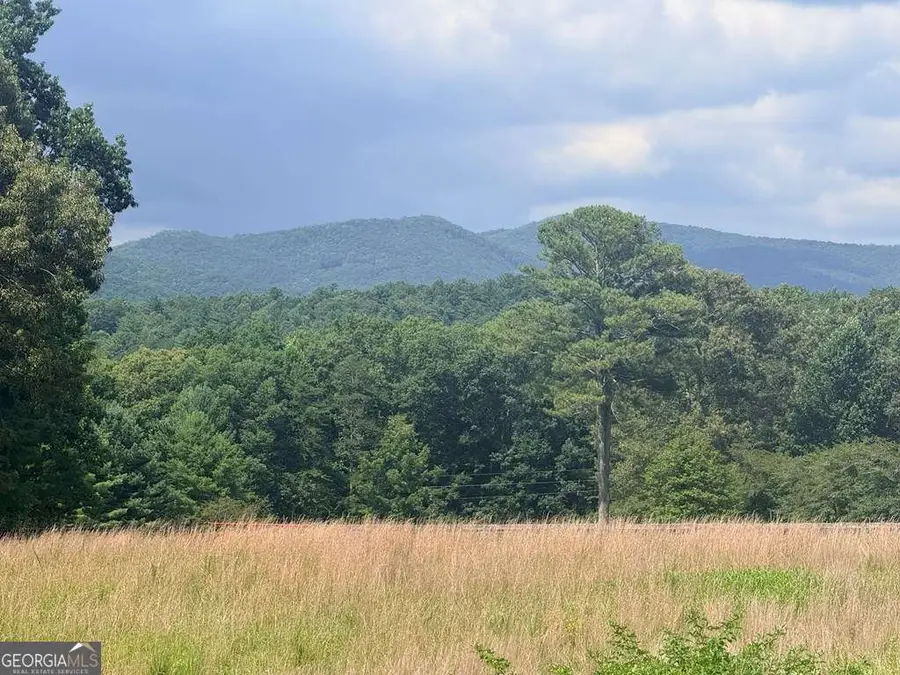 LT 6 Spring Camp Road, Ellijay, GA 30536 - #2