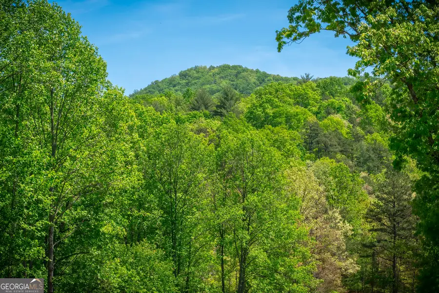 LOT 4-4A Waterstone Way, Mineral Bluff, GA 30559 - #3