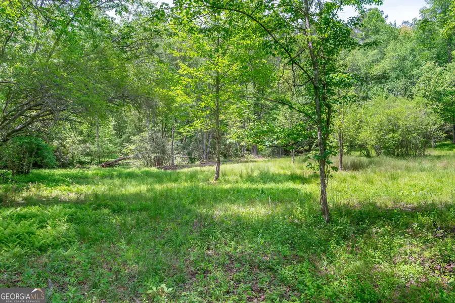 LOT 5-5A Waterstone Way, Mineral Bluff, GA 30559 - #3