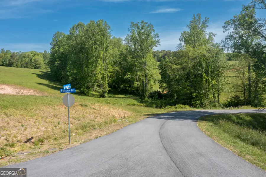 LOT 15 Waterstone Way, Mineral Bluff, GA 30559 - #3