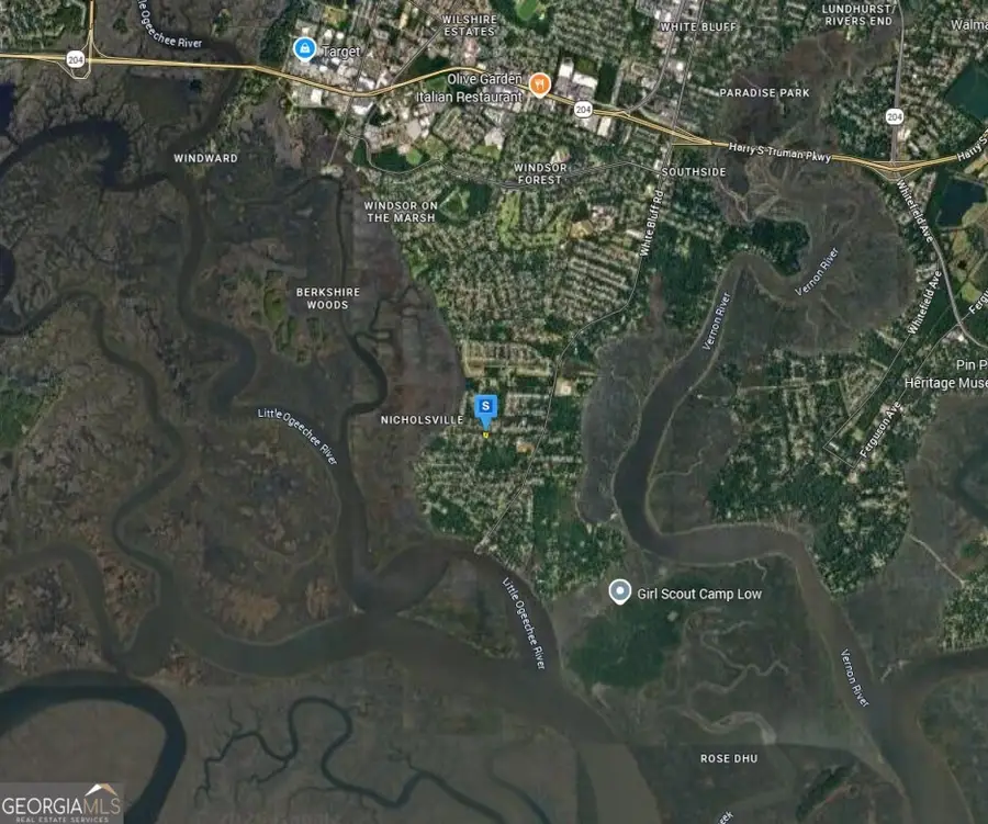 204 Coffee Bluff Villa Road, Savannah, GA 31419 - #3