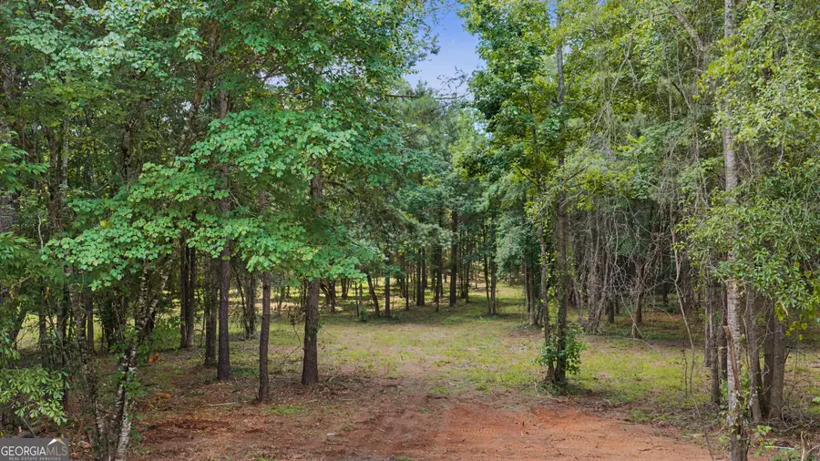 661 Hugh Oneal Road, Greenville, GA 30222 - #2