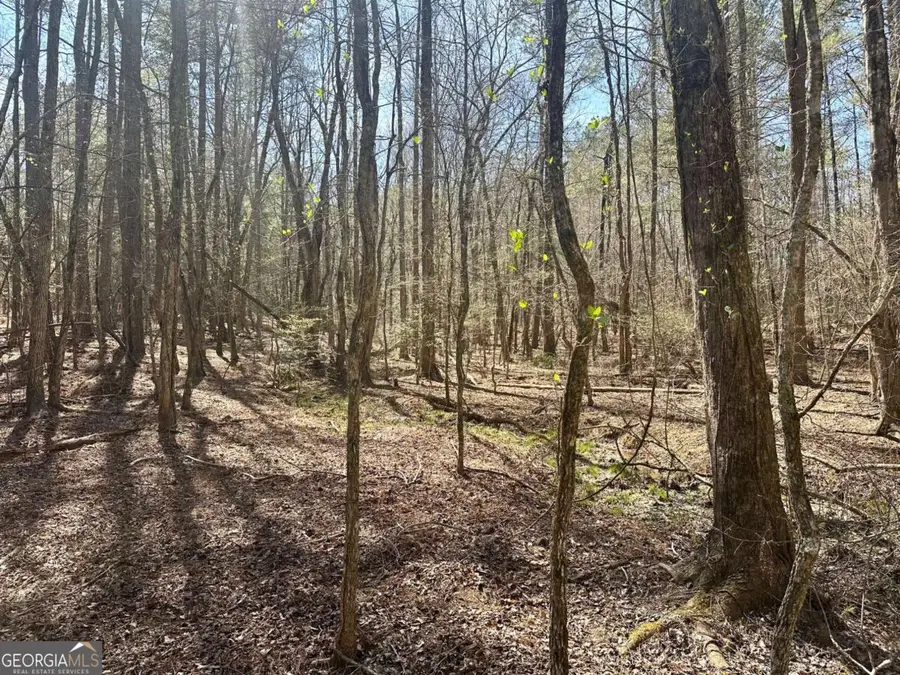 555 Larmon Forks Road, Dahlonega, GA 30533 - #3