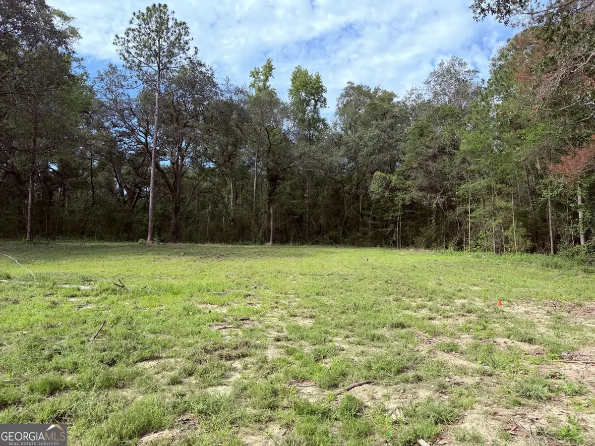 3980 Mosely Road Road, Claxton, GA 30417 - #1