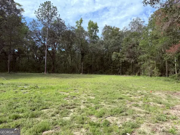 3980 Mosely Road Road, Claxton, GA 30417
