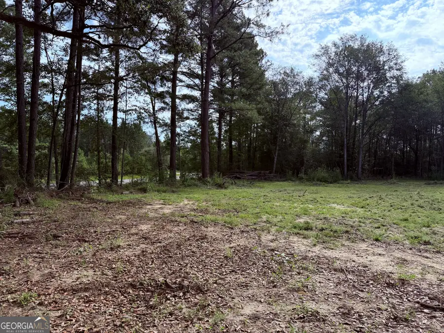 3980 Mosely Road Road, Claxton, GA 30417 - #2