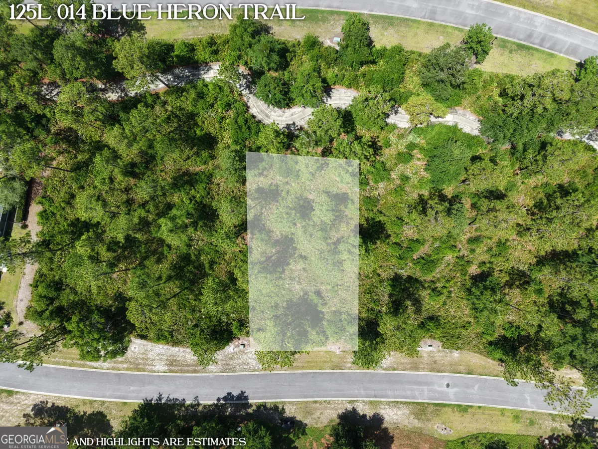 LOT 14 Blue Heron Trail, Waverly, GA 31565 - #1