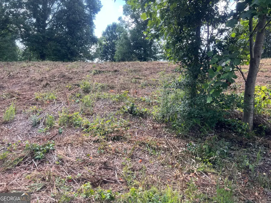 373 Stonington Drive, Mount Airy, GA 30563 - #3