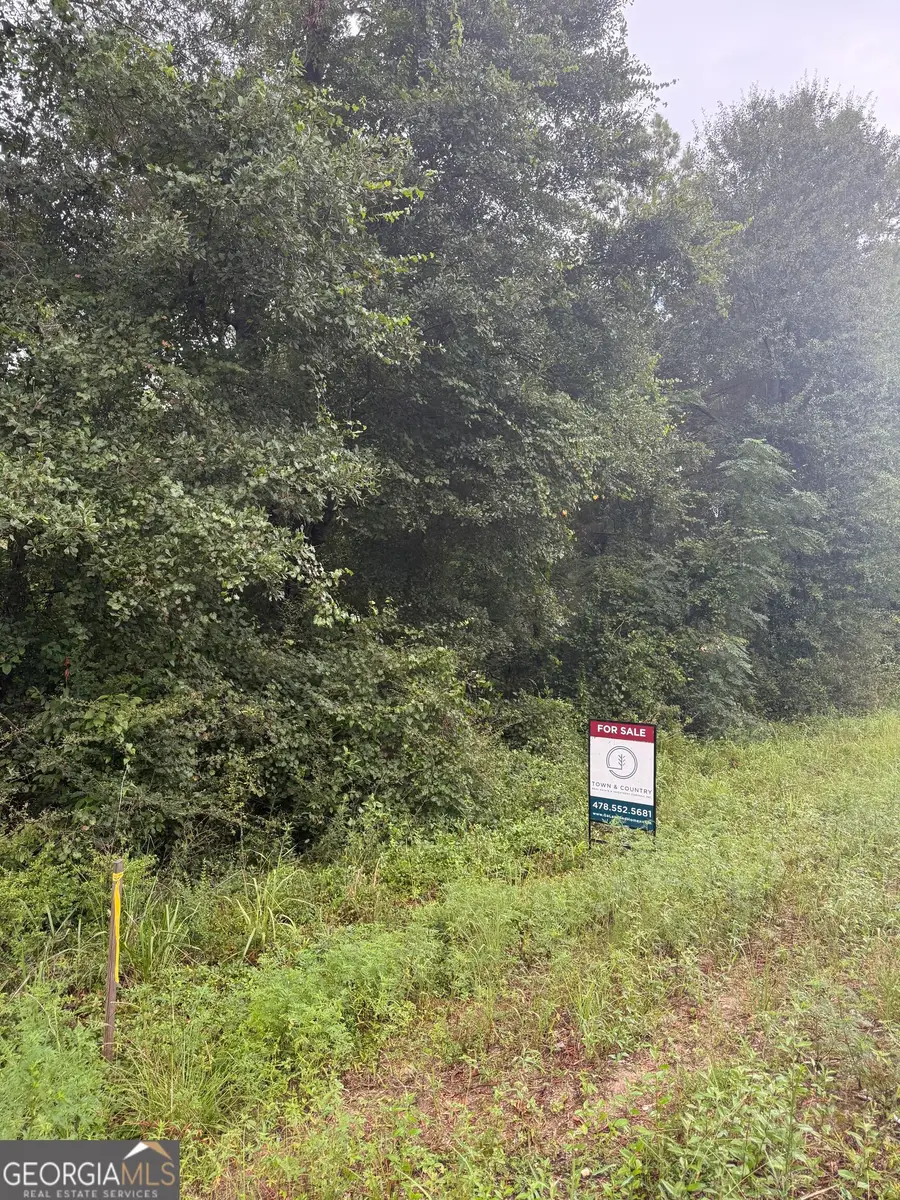 LOT 1 Harrison Davisboro Road, Davisboro, GA 31018 - #2