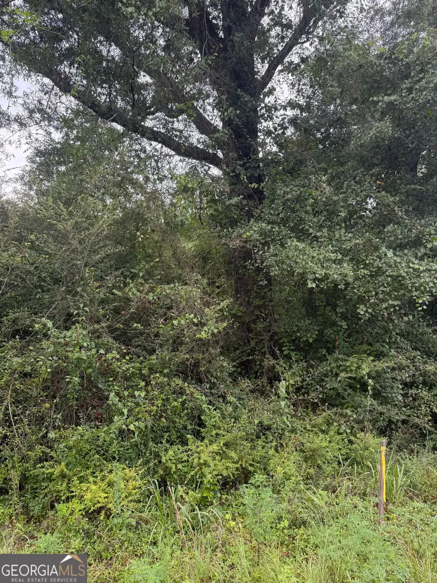 LOT 1 Harrison Davisboro Road, Davisboro, GA 31018 - #3