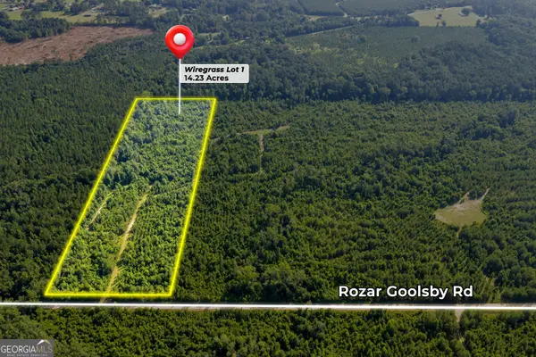 1 Rozar Goolsby Rd, Eastman, GA 31023
