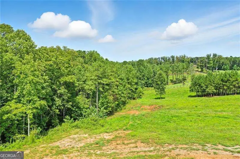 3511 Reavis Mountain Road #2, Ball Ground, GA 30107 - #2