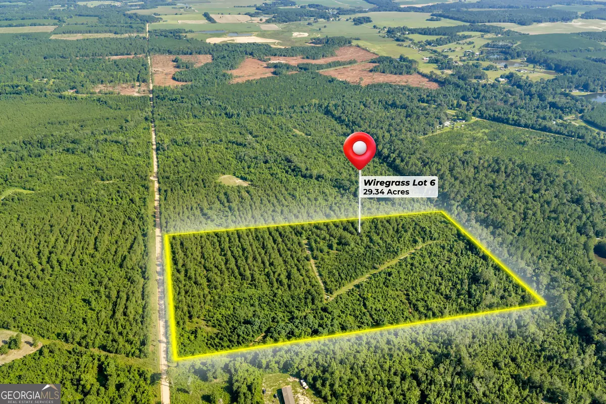 6 Rozar Goolsby Rd, Eastman, GA 31023 - #1