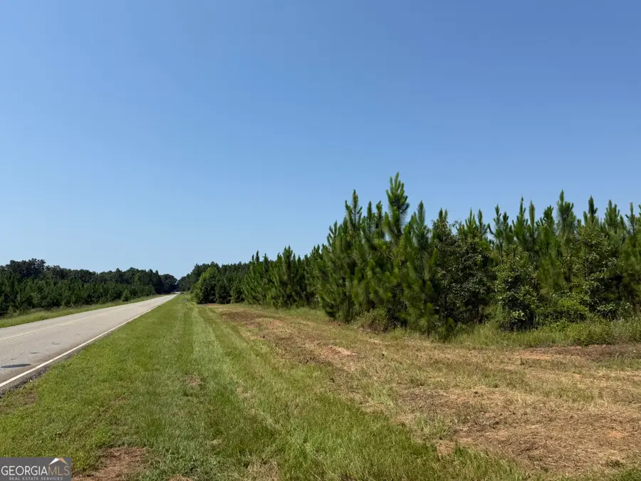 001A Barge Rd, Lumpkin, GA 31815 - #2