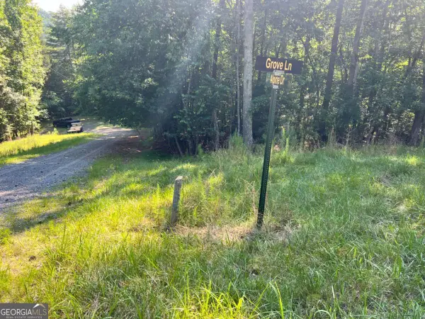 00 Alpine 3625 Drive, Ellijay, GA 30540
