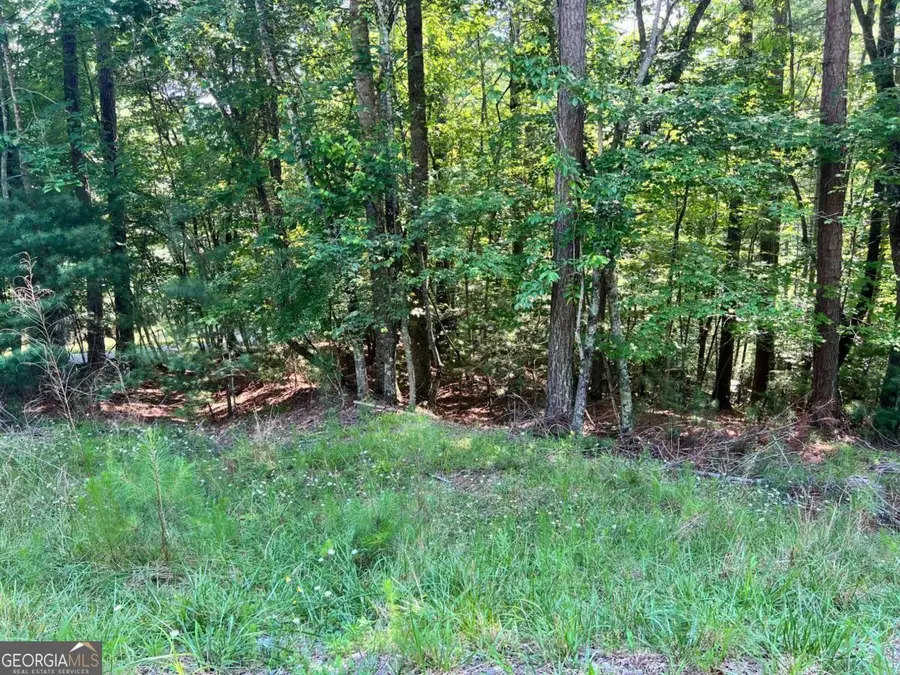 00 Alpine 3625 Drive, Ellijay, GA 30540 - #2
