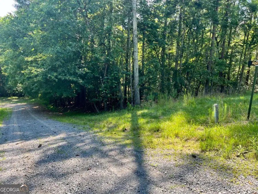 00 Alpine 3625 Drive, Ellijay, GA 30540 - #3