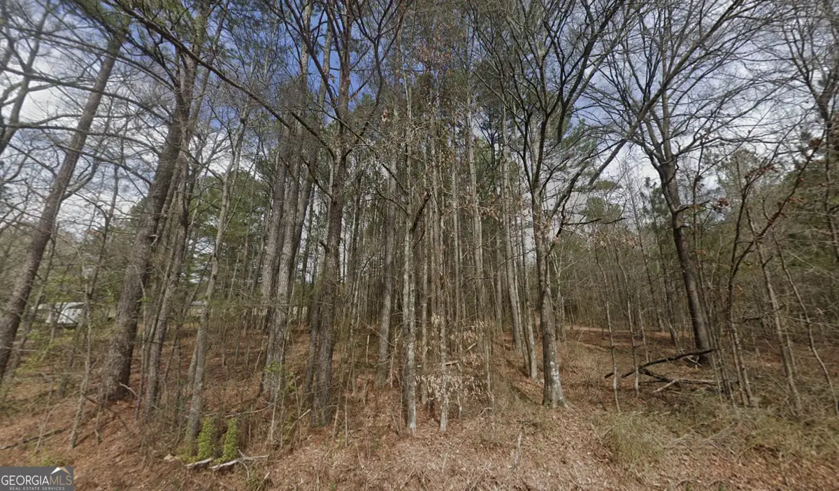 TBD Prior Station Road, Cedartown, GA 30125 - #1