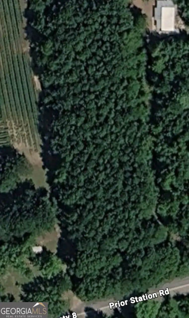 TBD Prior Station Road, Cedartown, GA 30125 - #2