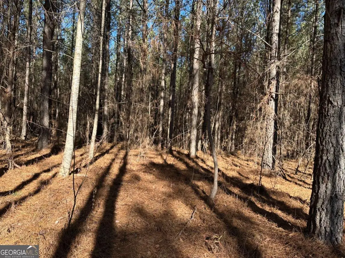 1107 Larmon Forks Road, Dahlonega, GA 30533 - #1
