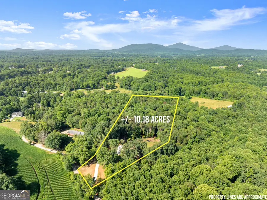 234 Mossy Creek Church Road, Cleveland, GA 30528 - #3