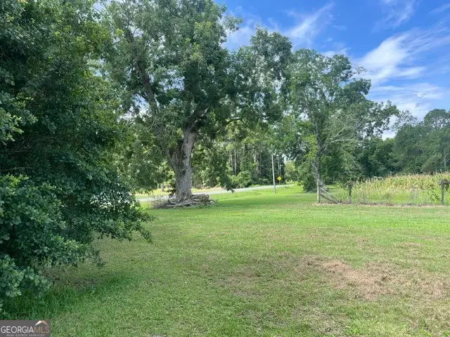 4180 Mcconnell Bridge Rd, Adel, GA 31620 - #1