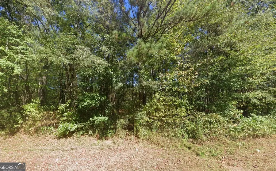 890 Joe Stephens Road, Franklin, GA 30217 - #2