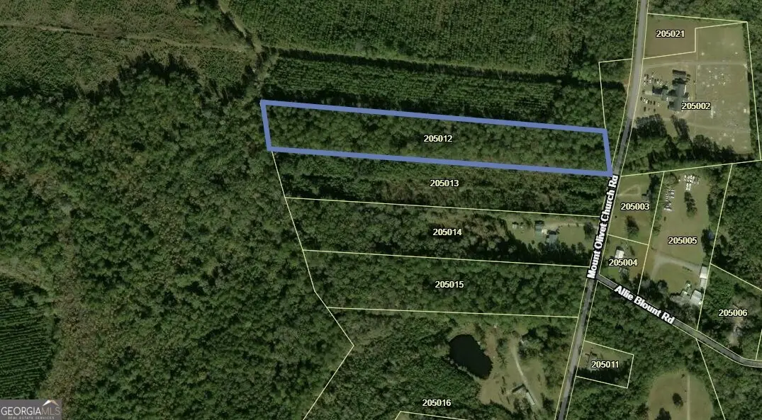 7.75 AC Mount Olivet Church Road, Fleming, GA 31309 - #1