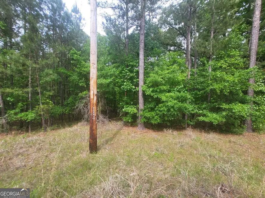 0 Dianthus Drive, Sparta, GA 31087 - #3