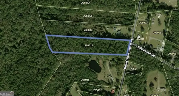 7.61 Mount Olivet Church Road, Fleming, GA 31309