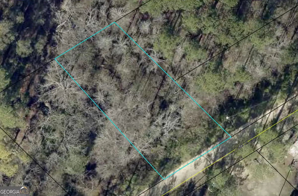 0 Cutter Lane, Sylvania, GA 30467 - #1