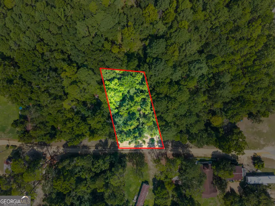 0 Cutter Lane, Sylvania, GA 30467 - #3