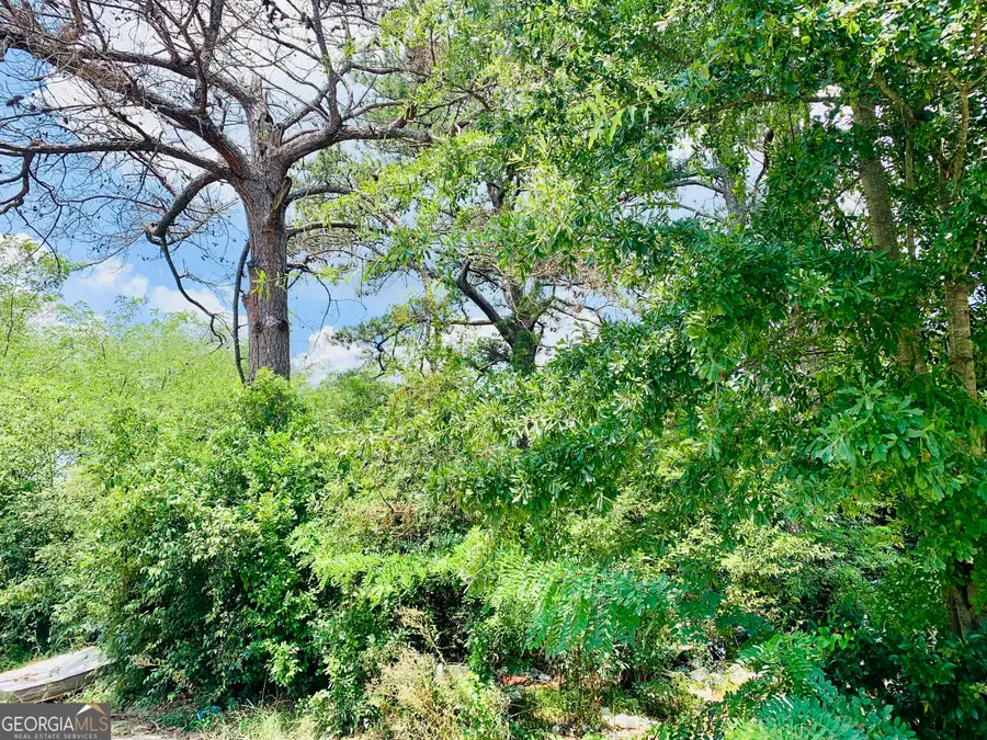 855 Bedingfield Avenue, Macon, GA 31206 - #3