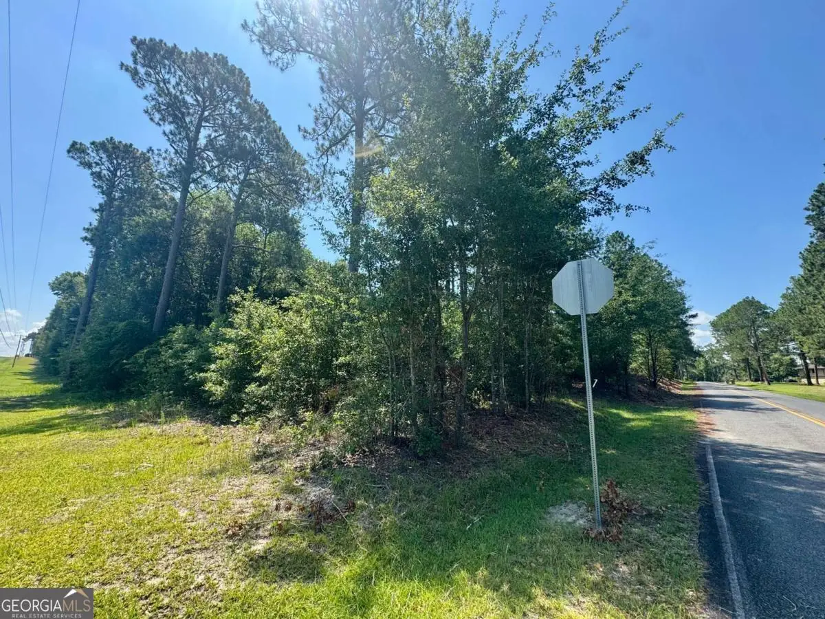 TRACT 1 Whiddon Milll Road, Poulan, GA 31781 - #1